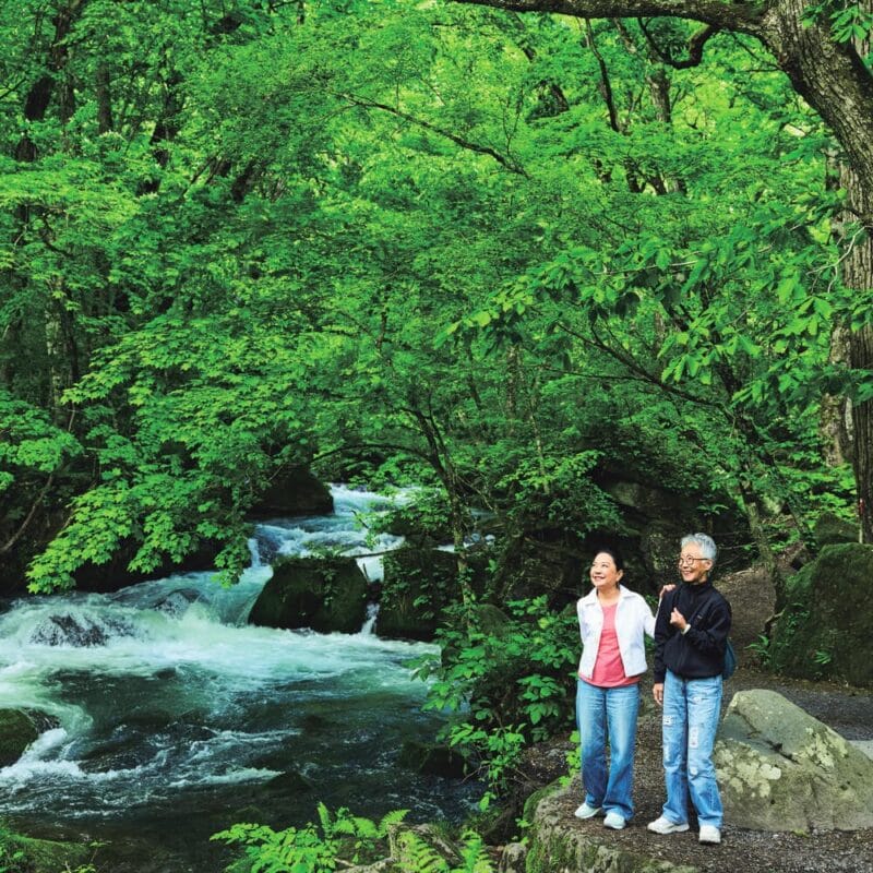 【青森県奥入瀬】澄んだ渓流と豊かな森に心癒される60代女子旅体験レポ！