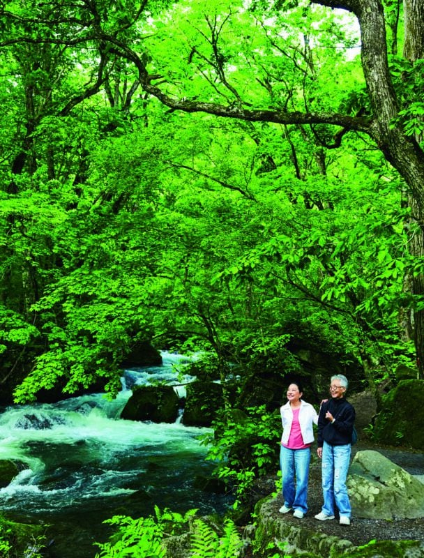 【青森県奥入瀬】澄んだ渓流と豊かな森に心癒される60代女子旅体験レポ！