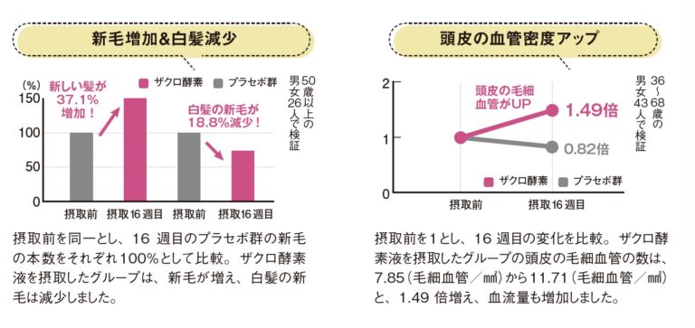 ザクロ酵素による頭皮の血管密度の増加と、新毛増加・白髪減少のグラフ