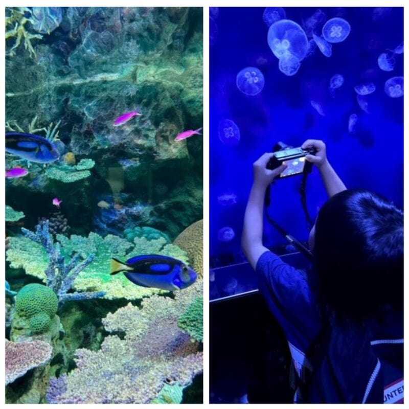 【60代ライフスタイル】サンシャイン水族館を三世代で満喫！夏の東京滞在体験レポ