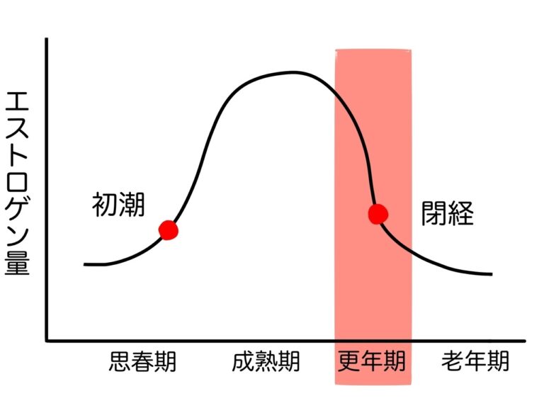 女性ホルモンのグラフ