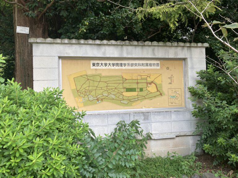 小石川植物園　地図