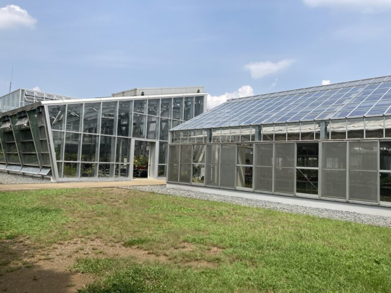 小石川植物園　温室　冷温室