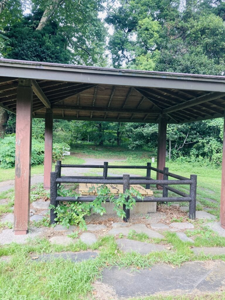 小石川植物園　小石川養生所の井戸