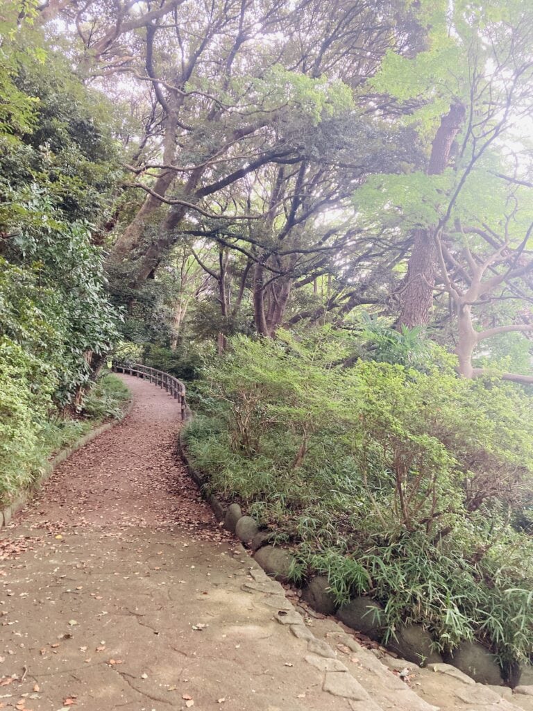 小石川植物園　山道