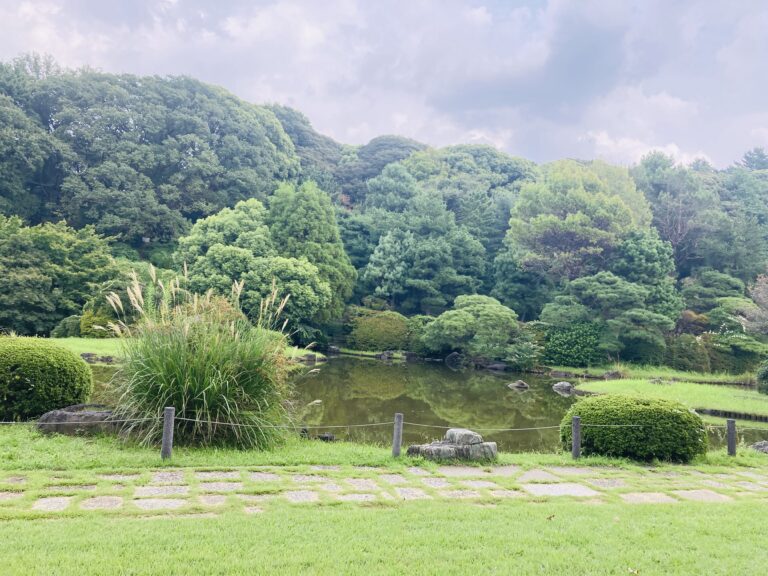 小石川植物園　日本庭園