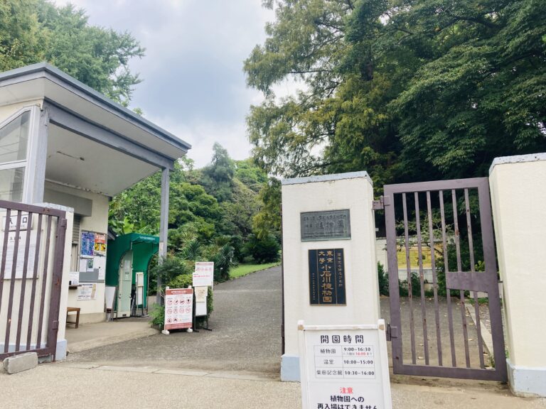 小石川植物園　入り口