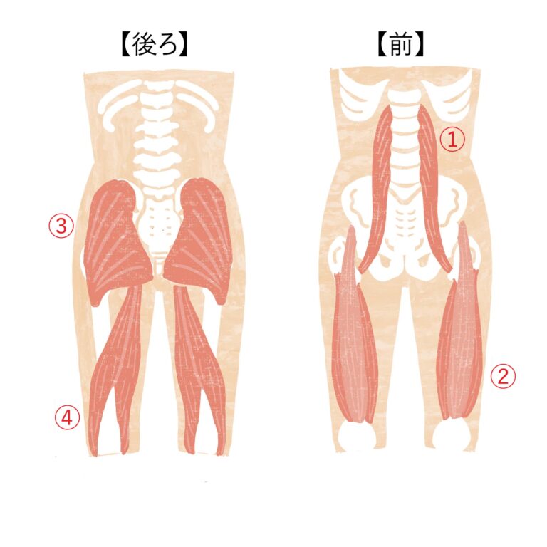 鍛えるべき4つの筋肉