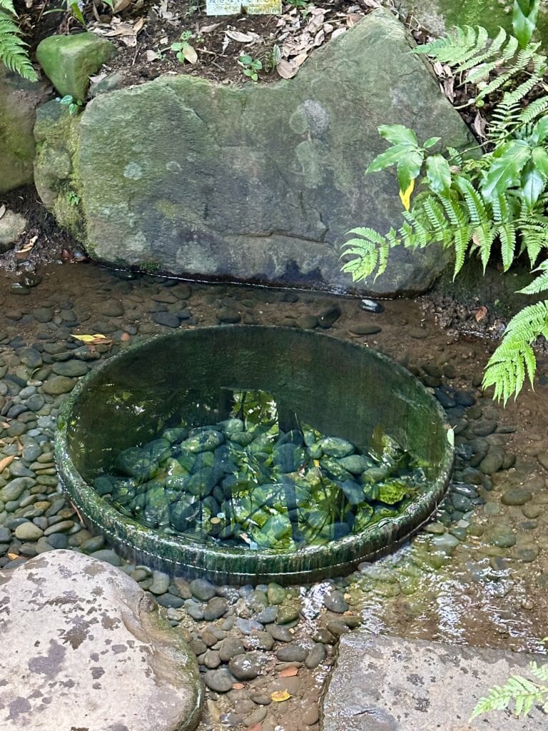 加藤清正が掘ったと伝えられる、都内有数の名湧水「清正井（きよまさのいど）」。パワースポットとしても人気。