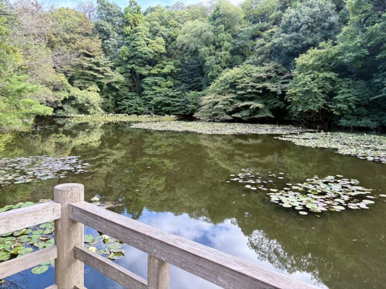 10月の明治神宮御苑の様子。花菖蒲田の見頃は５月下旬から６月下旬。南池のスイレンの花は６月から９月ごろ。