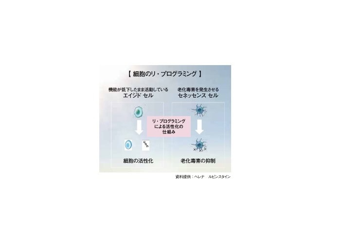 エイジングの原因になる細胞老化をリセット（イメージ図）