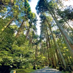 気のいい神社へ行くことも」