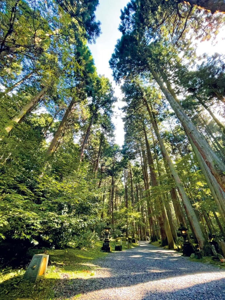 気のいい神社へ行くことも」