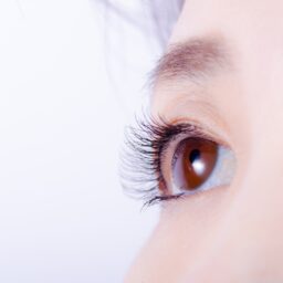 目元美容