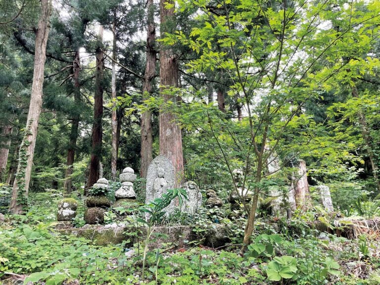 参道にはたくさんのお地蔵様が