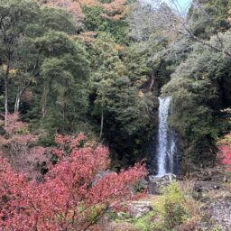 竜吟峡　一の滝