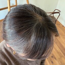 ヘナ染め前