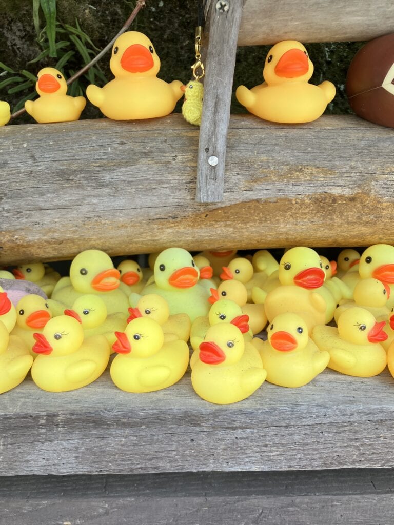 あひる