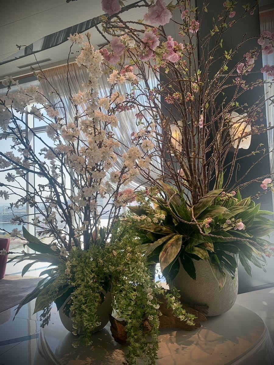 カハラ横浜