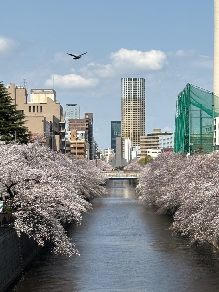 目黒川