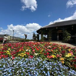 グラバー住宅と花