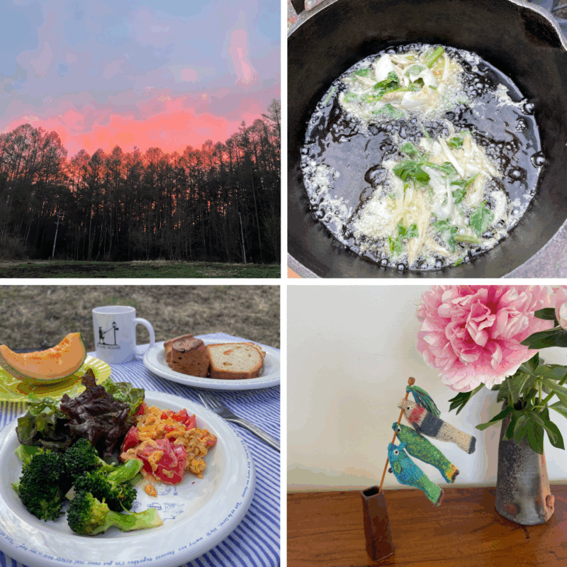 【60代ライフスタイル】「長野県蓼科」での春のひととき！「アウトドア天ぷら」ほか自然豊かな山荘で過ごす時間を満喫！