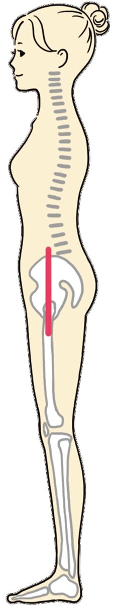 正しい座り方