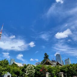 芝公園周辺は散策も楽しい