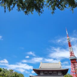 ホテルから増上寺は、もうお隣です