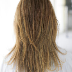 Back