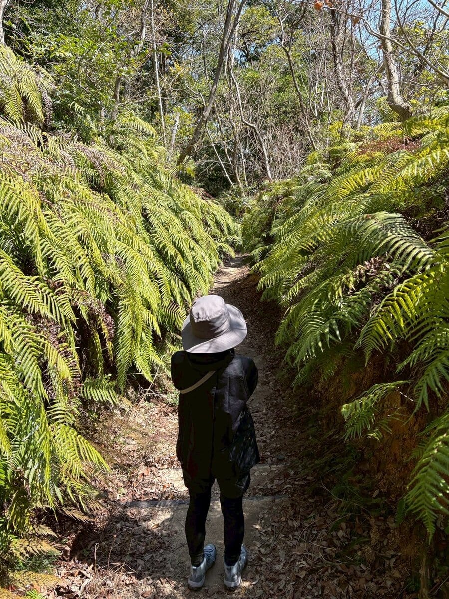 油山を下山