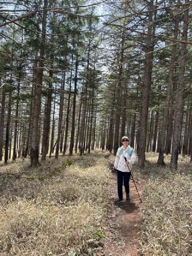山の先生が見つかり、往復４時間歩いてきました。