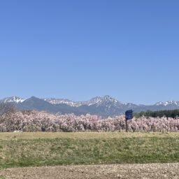 長野県蓼科の風景