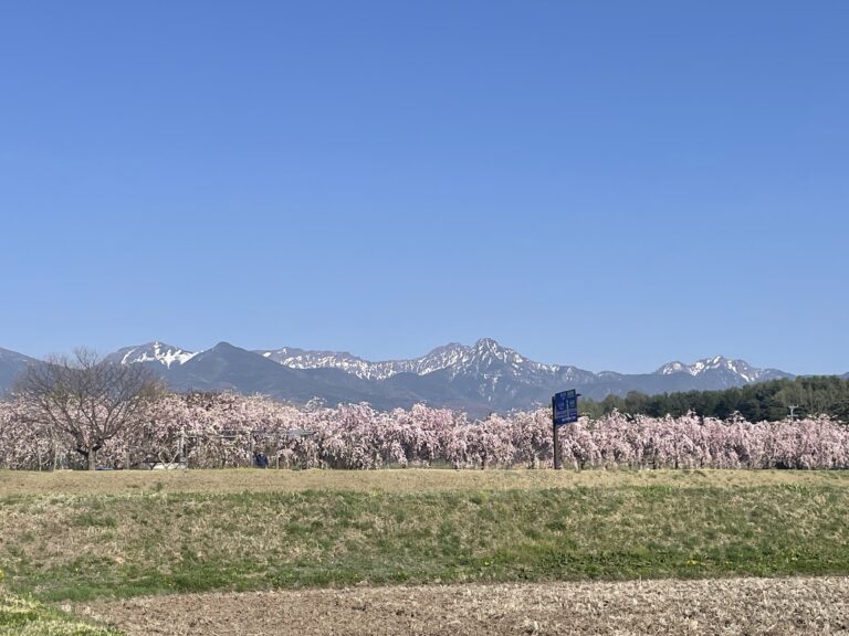 長野県蓼科の風景