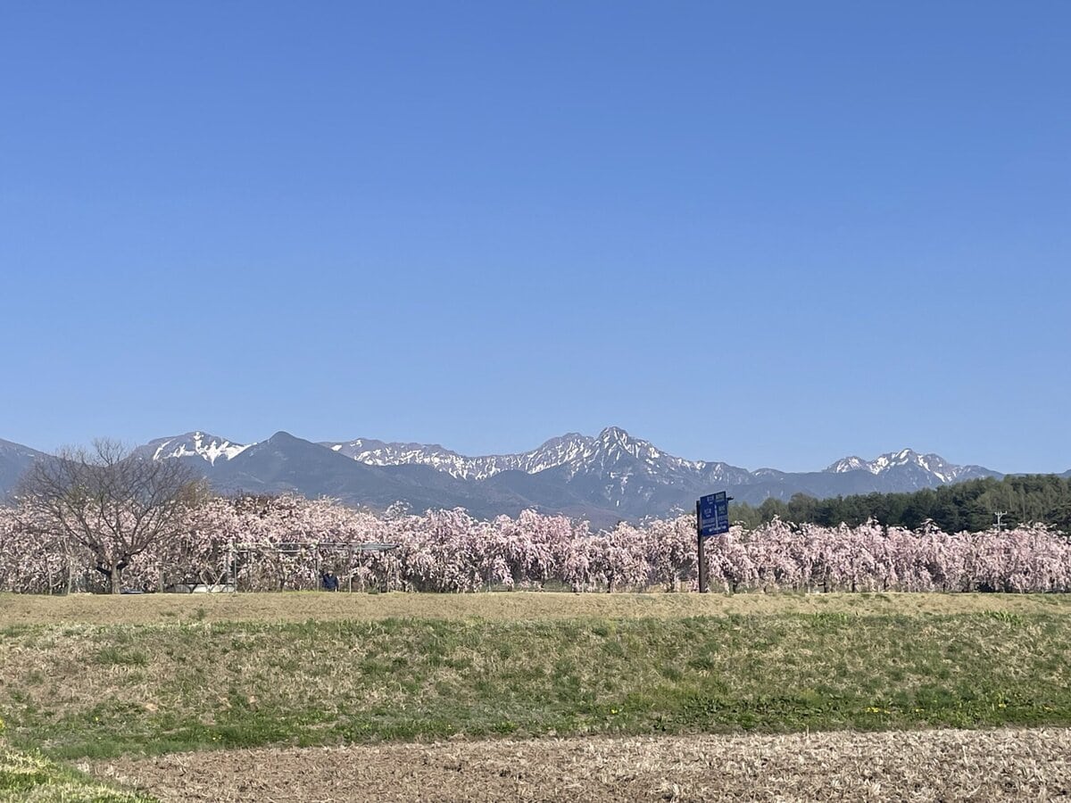長野県蓼科の風景