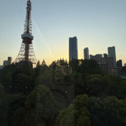 お部屋から見えるのは芝公園の緑と夕暮れの東京タワー