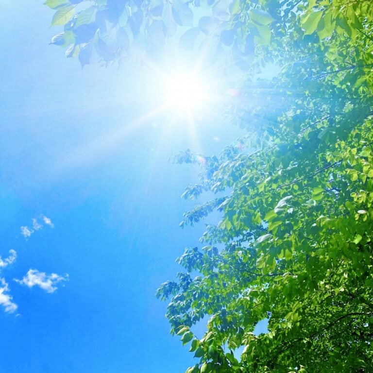 紫外線