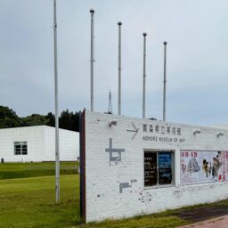 芝生の奥に見える白い建物が美術館。