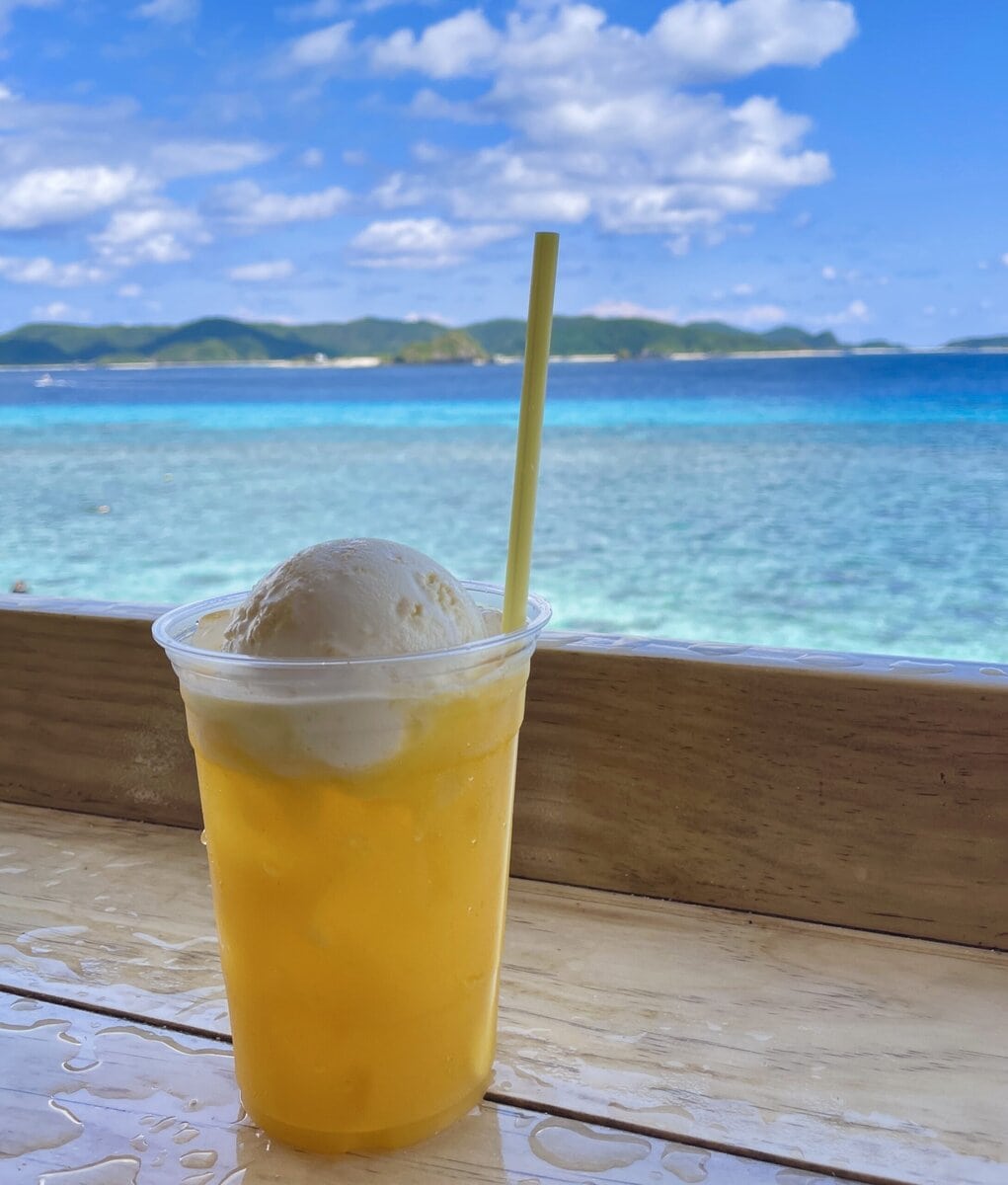 沖縄　日帰り　離島