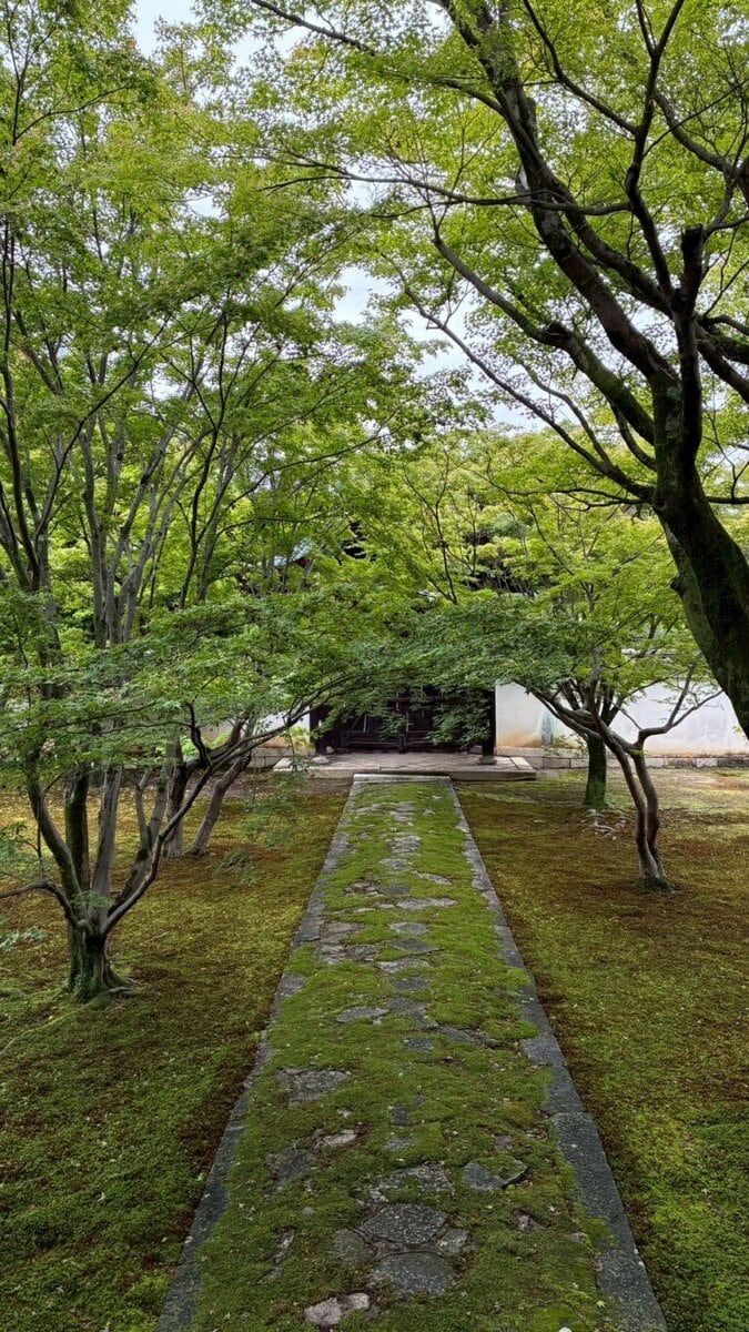 妙覚寺