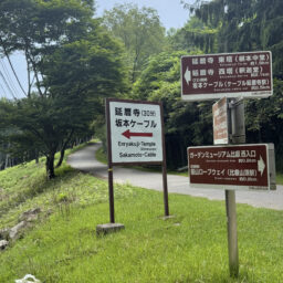 ここが分かれ道　左手を進むと山道にはいります