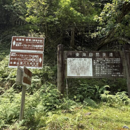東海自然歩道：7月初旬の平日、人気が少なく1人歩きだと心細い道です