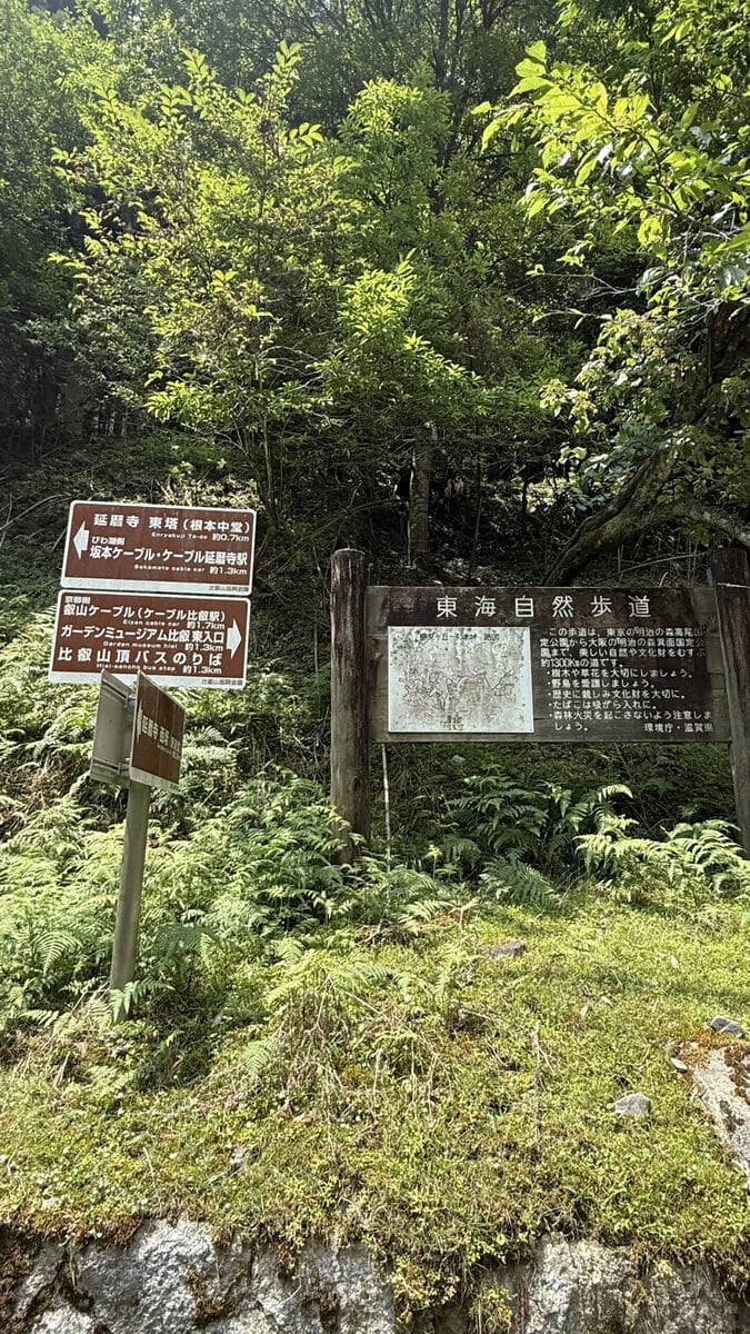 東海自然歩道：7月初旬の平日、人気が少なく1人歩きだと心細い道です