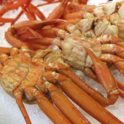 お取り寄せグルメ