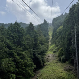 ロープウェイからの景色