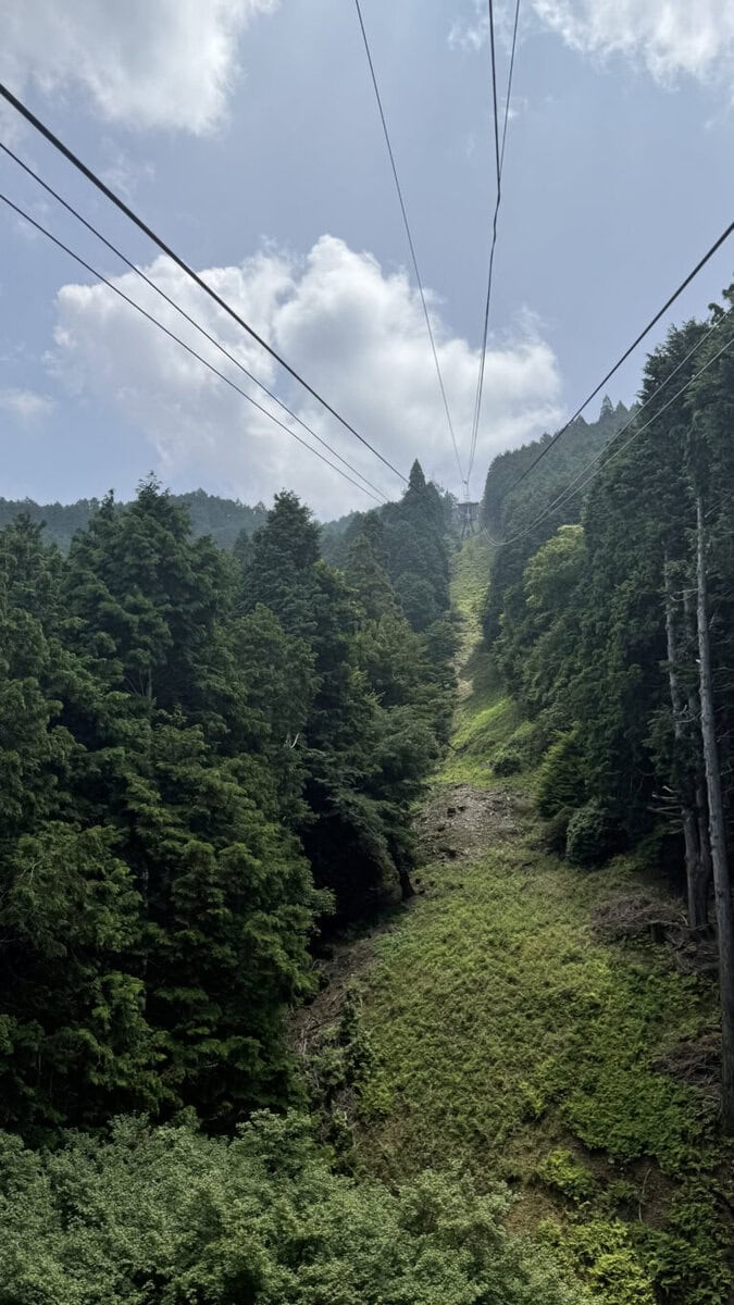 ロープウェイからの景色