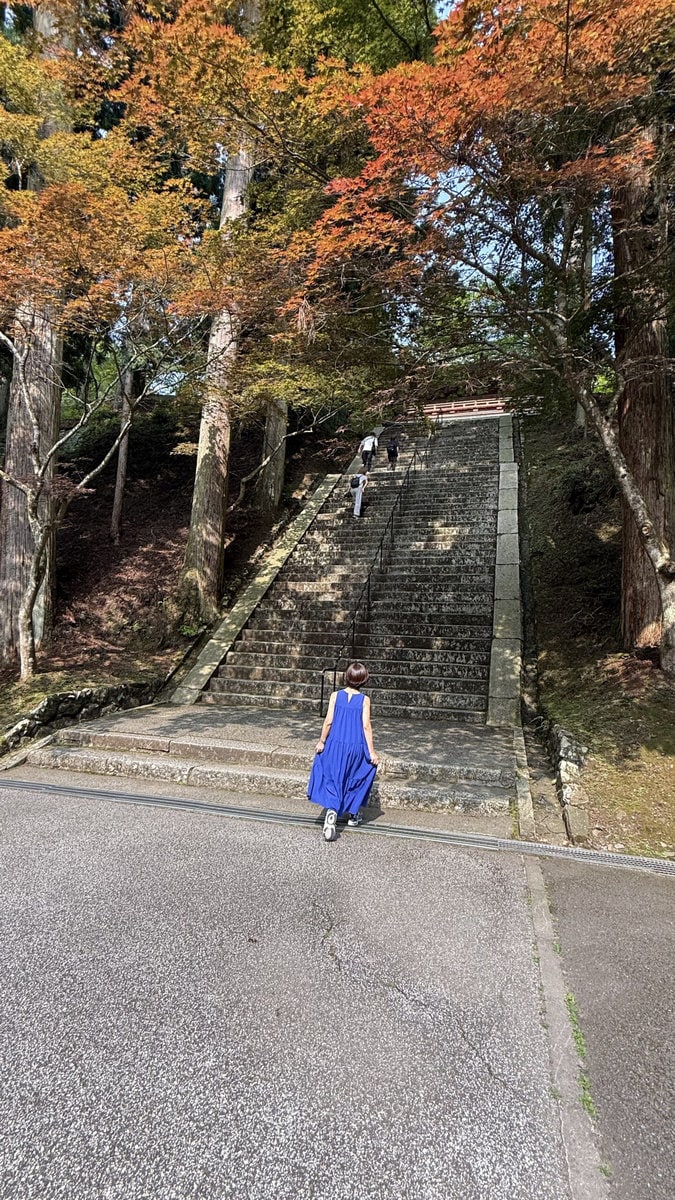 根本中堂の前のもみじの葉が赤いのは、暑くて葉が焼けているから、だそう