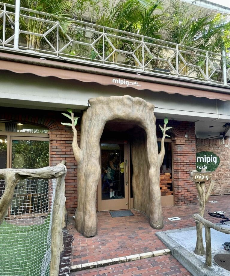 mipig cafe原宿店