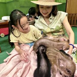 mipig cafe原宿店