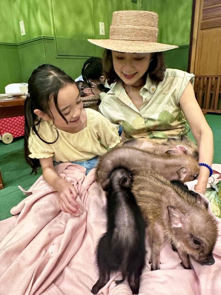 mipig cafe原宿店